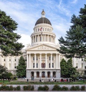 front view of the california state capitol flanked by trees