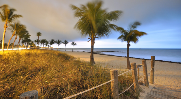 beach in Florida with palm trees